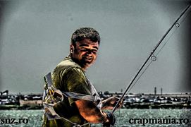 CN Corbu - 2013 (2)